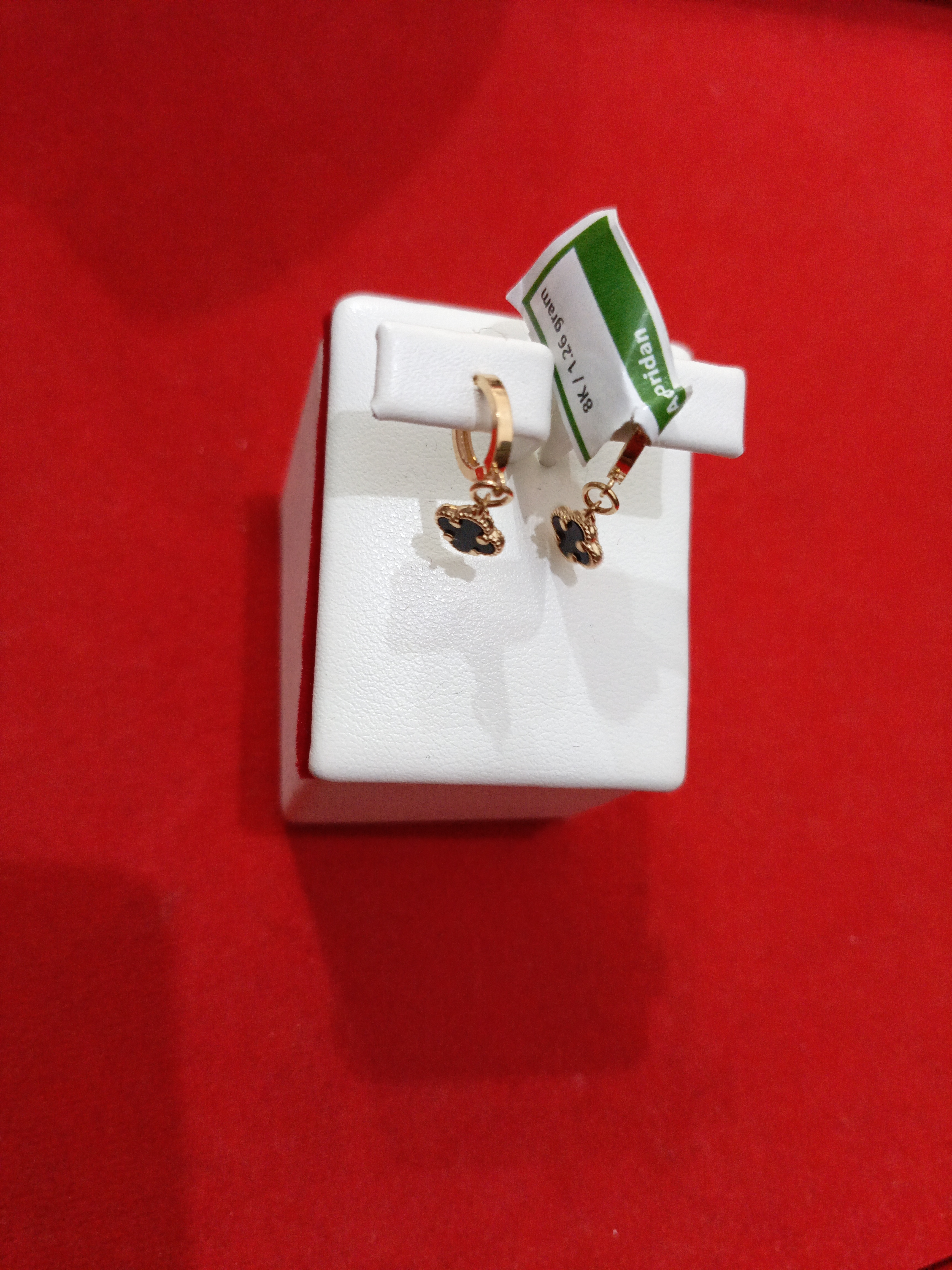 ANTING
