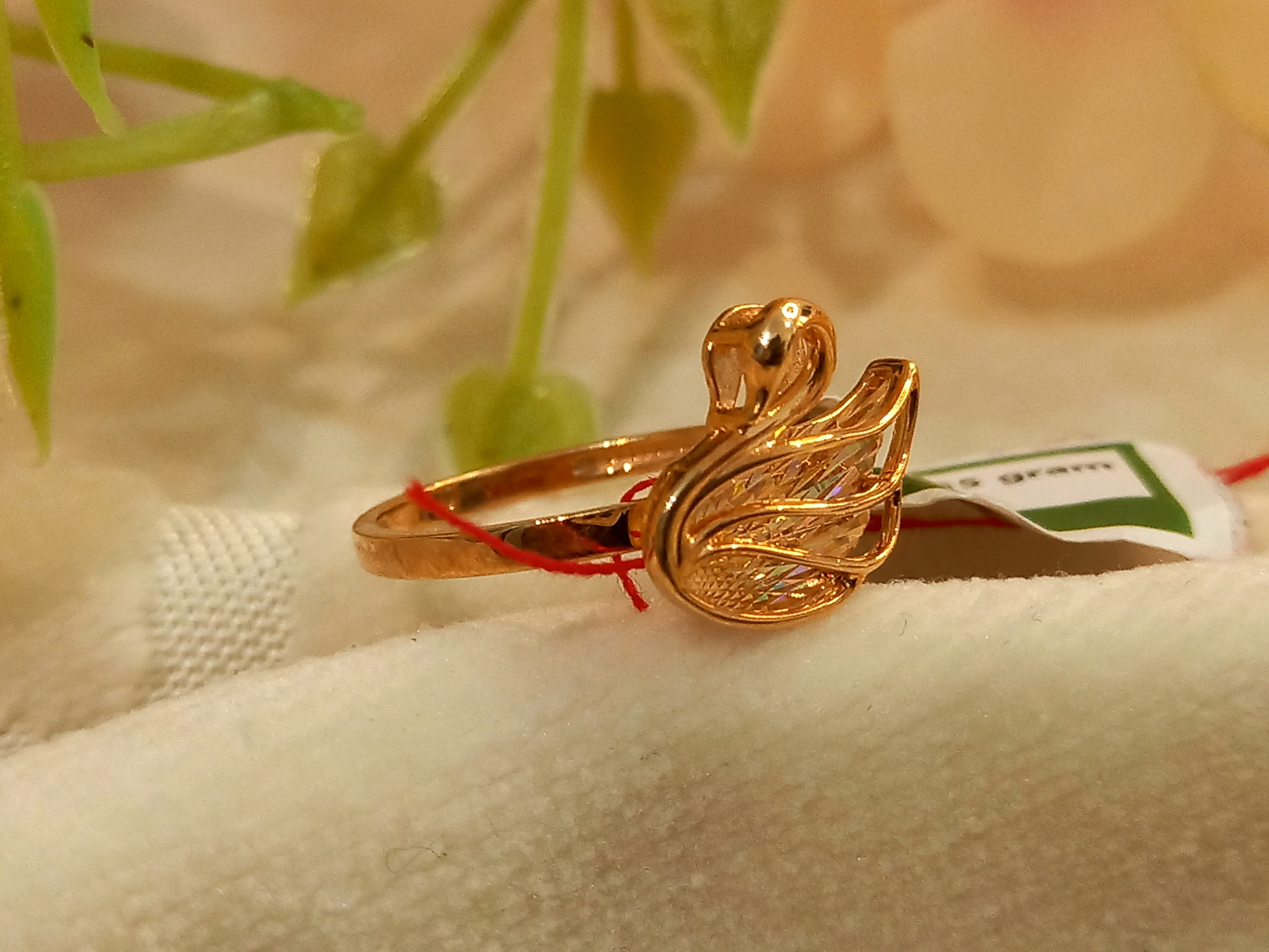 CINCIN