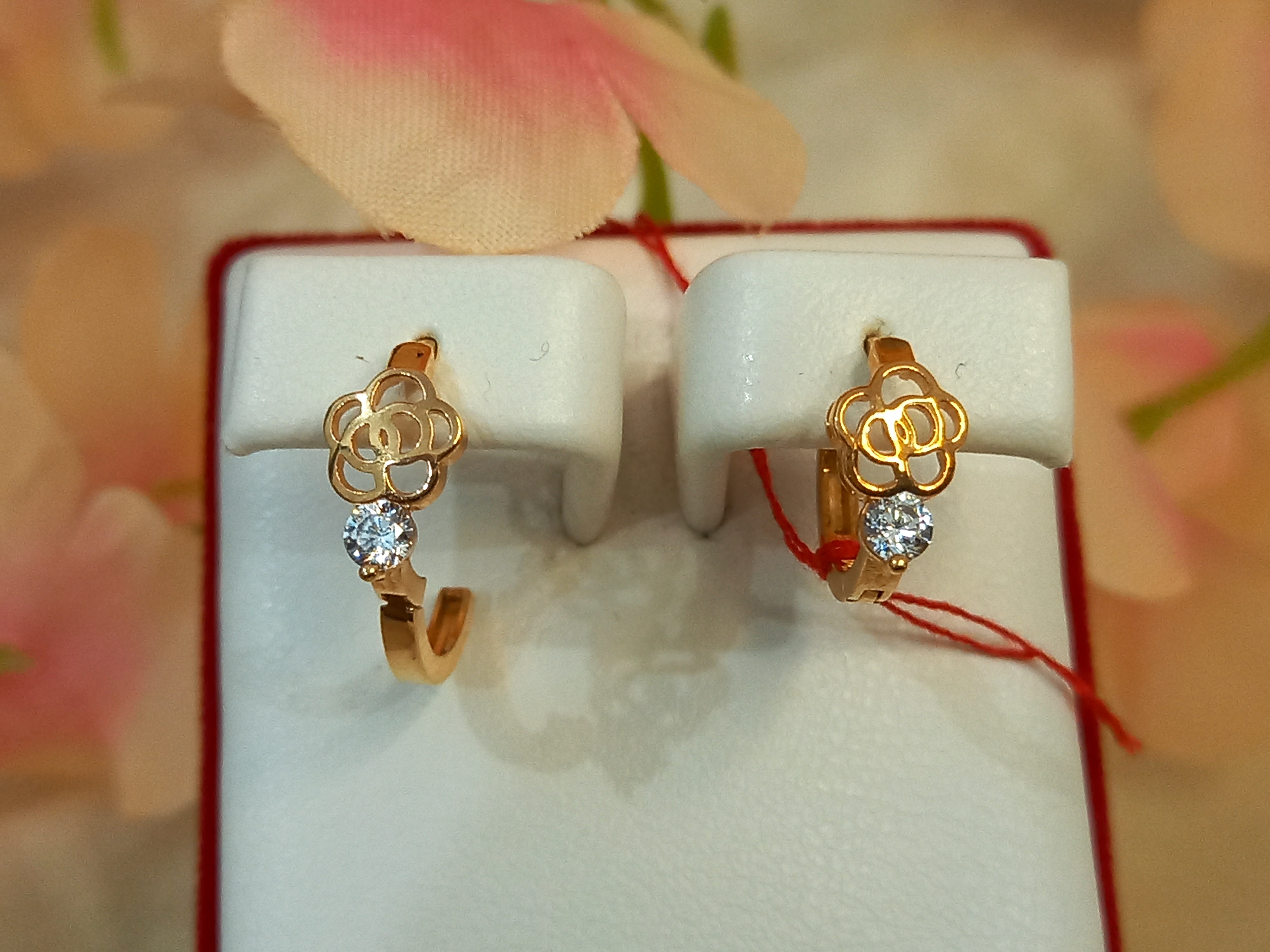 ANTING